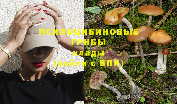 гашик Армянск