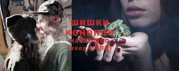 МДПВ Пестово