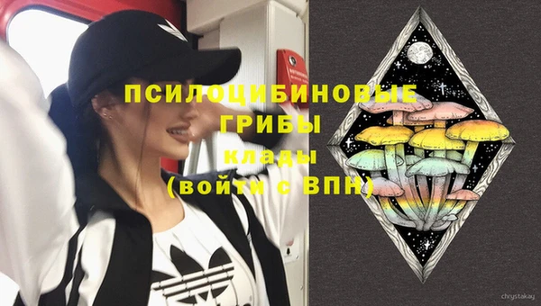 мяу мяу мука Аркадак