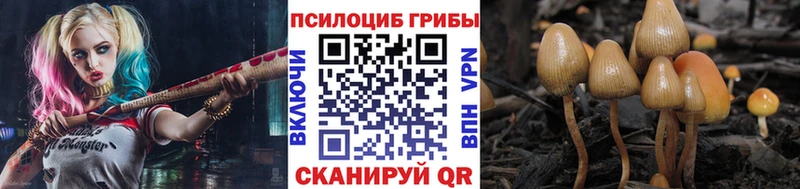Галлюциногенные грибы Psilocybe  Талица 